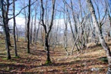 Clicca qui per vedere l'immagine in dettaglio